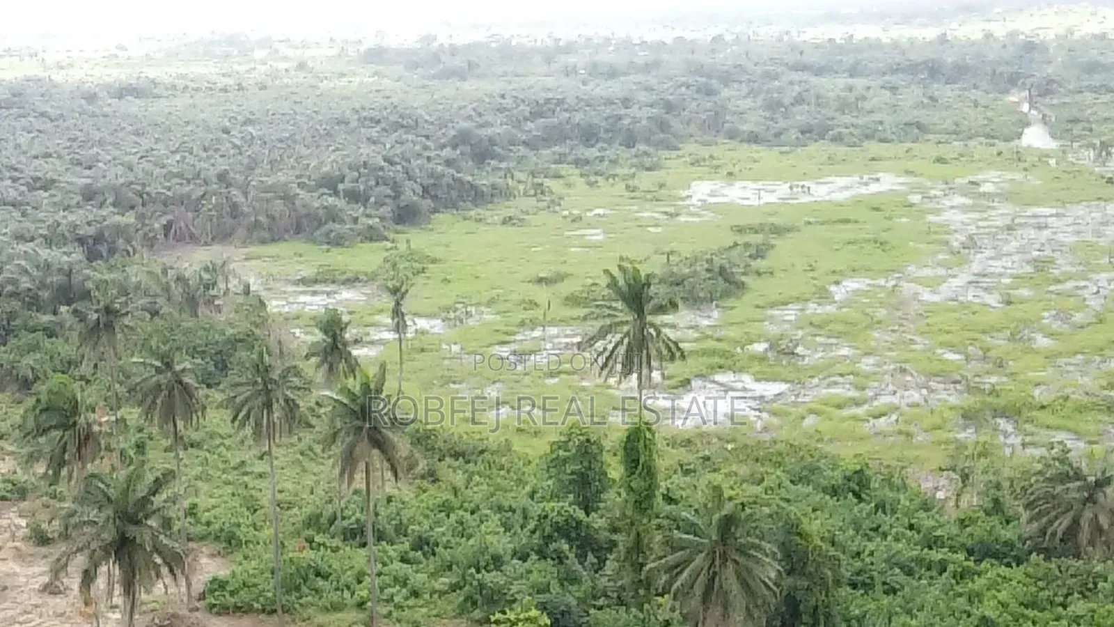 5 Acres Available Wetland for Quick Cheap Sales