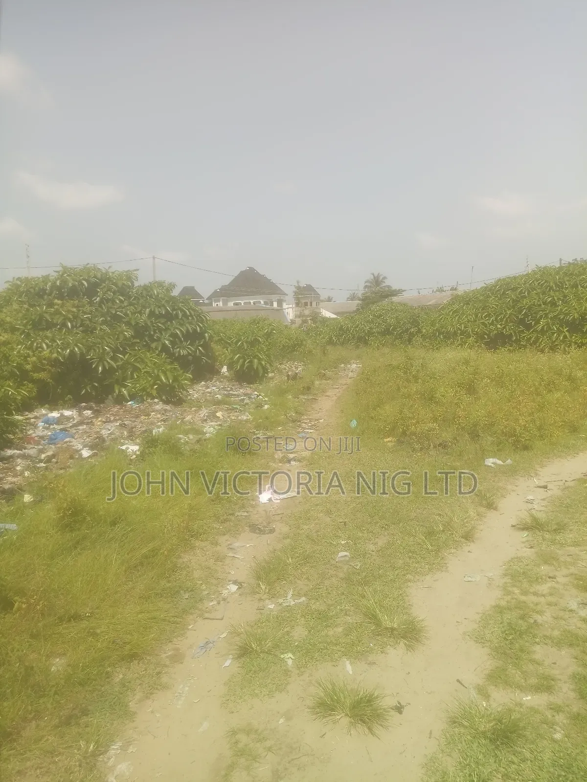 Registered Survey, Registered Deed, Family Receipt,