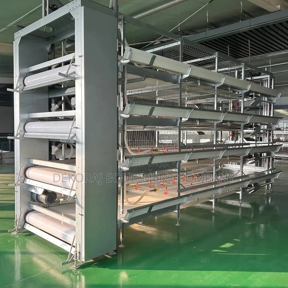 Automatic Broiler Rearing Cage,Imported Layer Cage