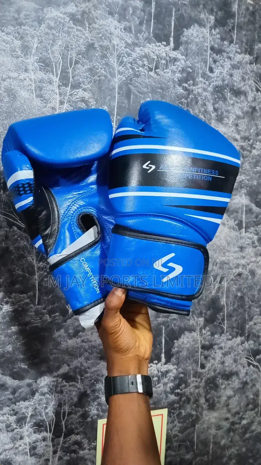 American Fitness Boxing Glove