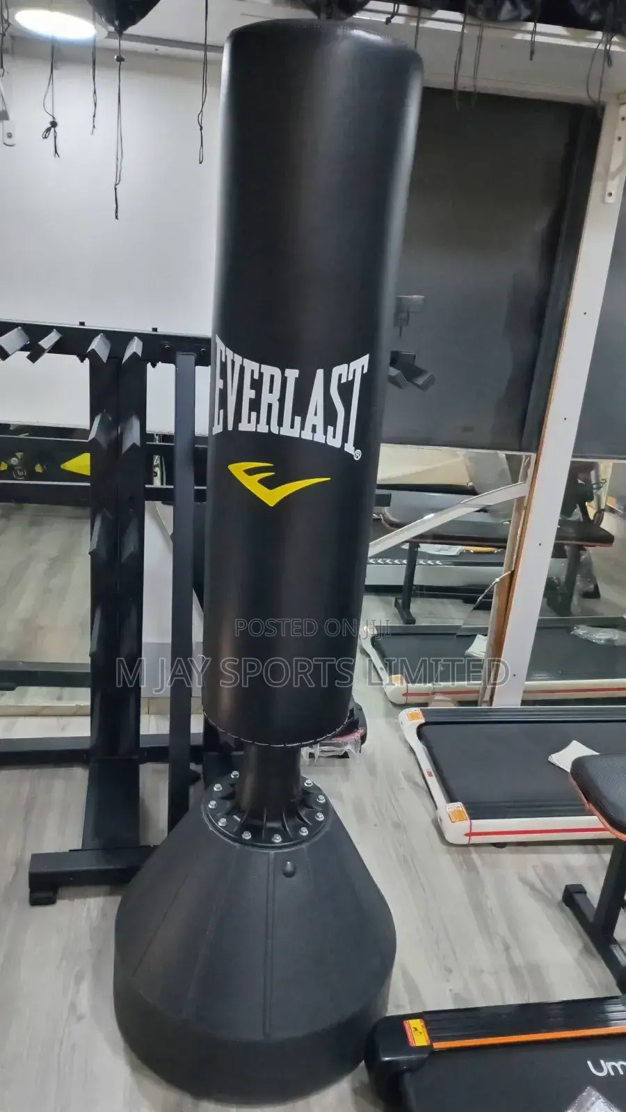 Standing Punching Bag