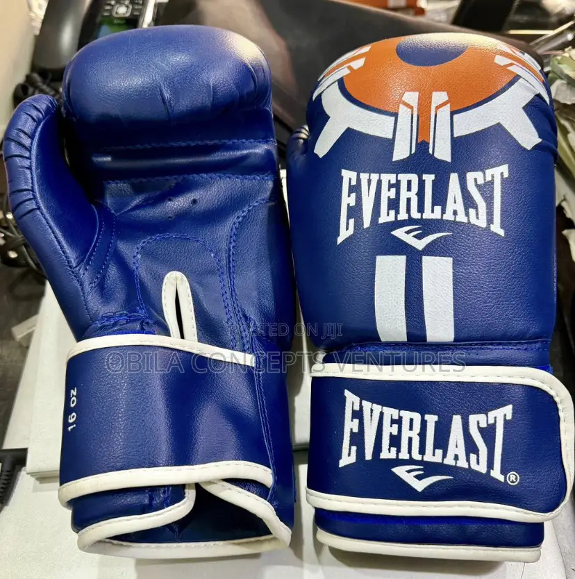Everlast Boxing Gloves Leather