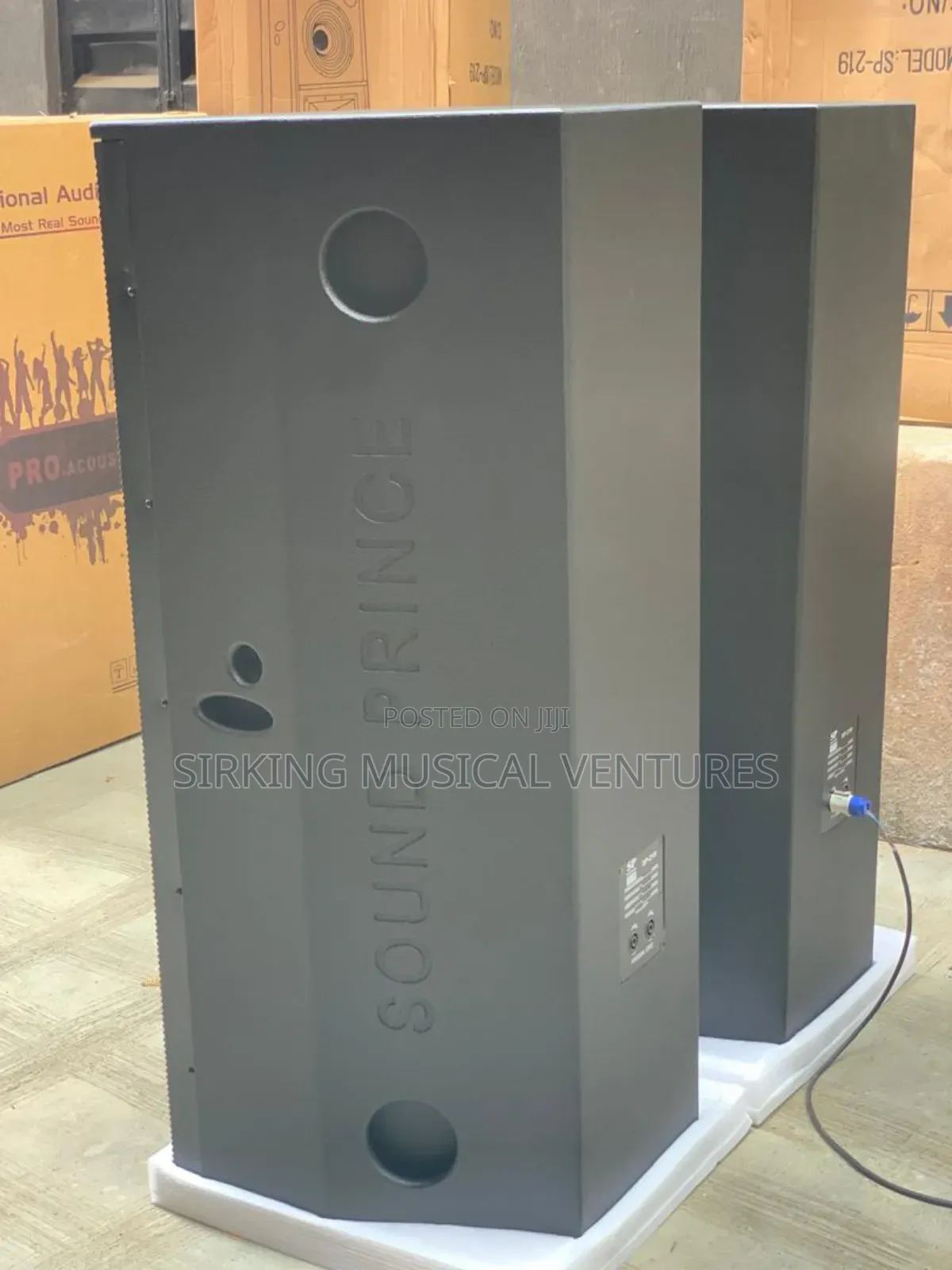 Sound Prince SP-219 Acoustic Speaker Full Range