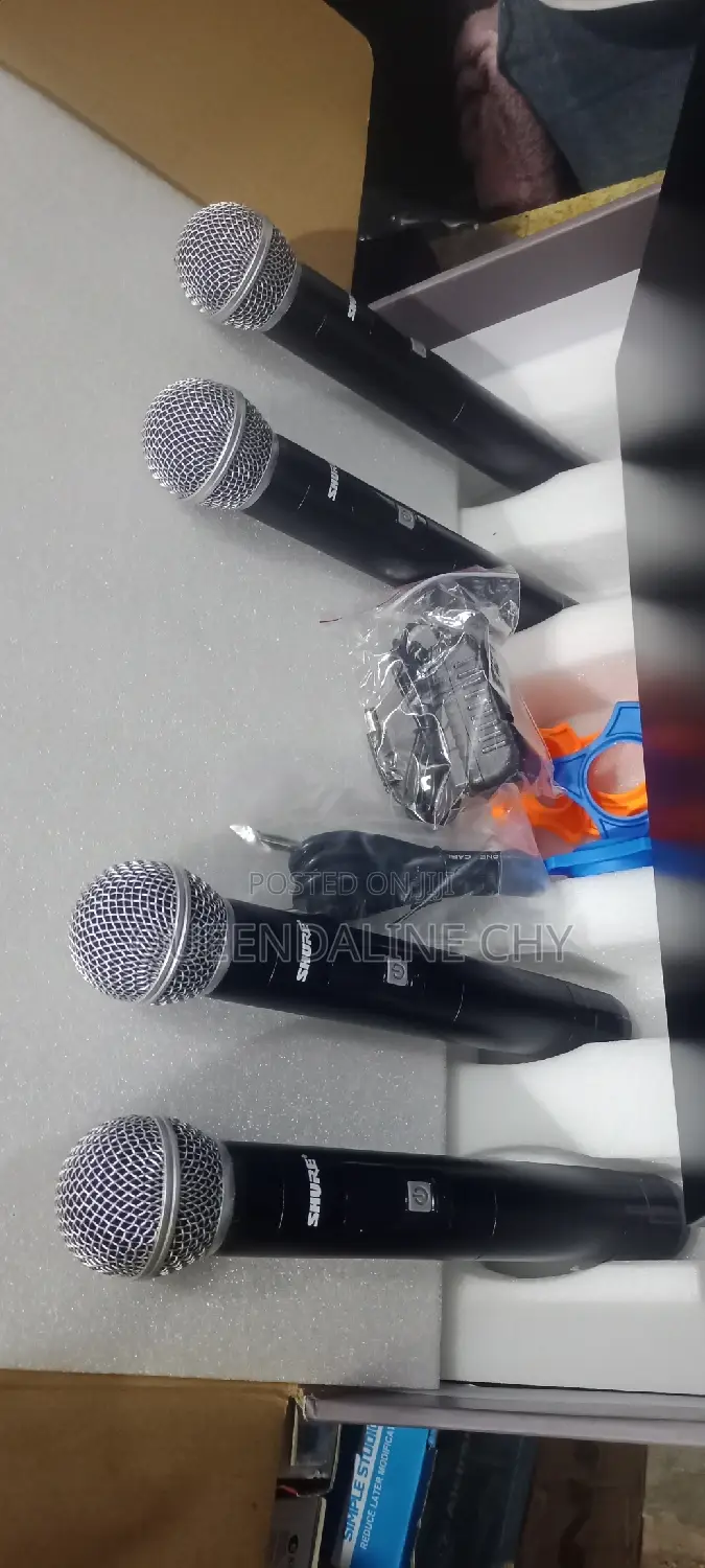 4 in 1 Professional Microphone System