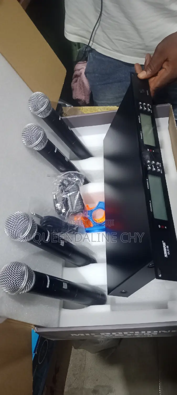 4 in 1 Professional Microphone System
