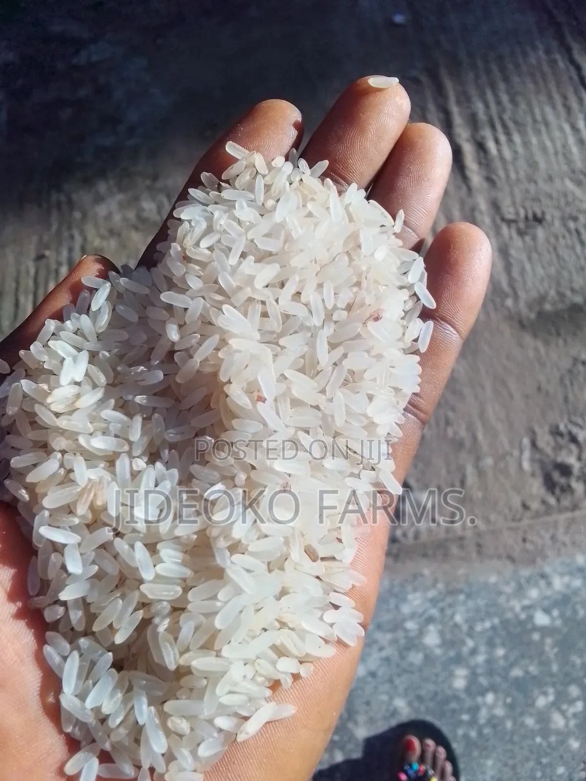 Abakaliki Rice 50kg (2bushels)