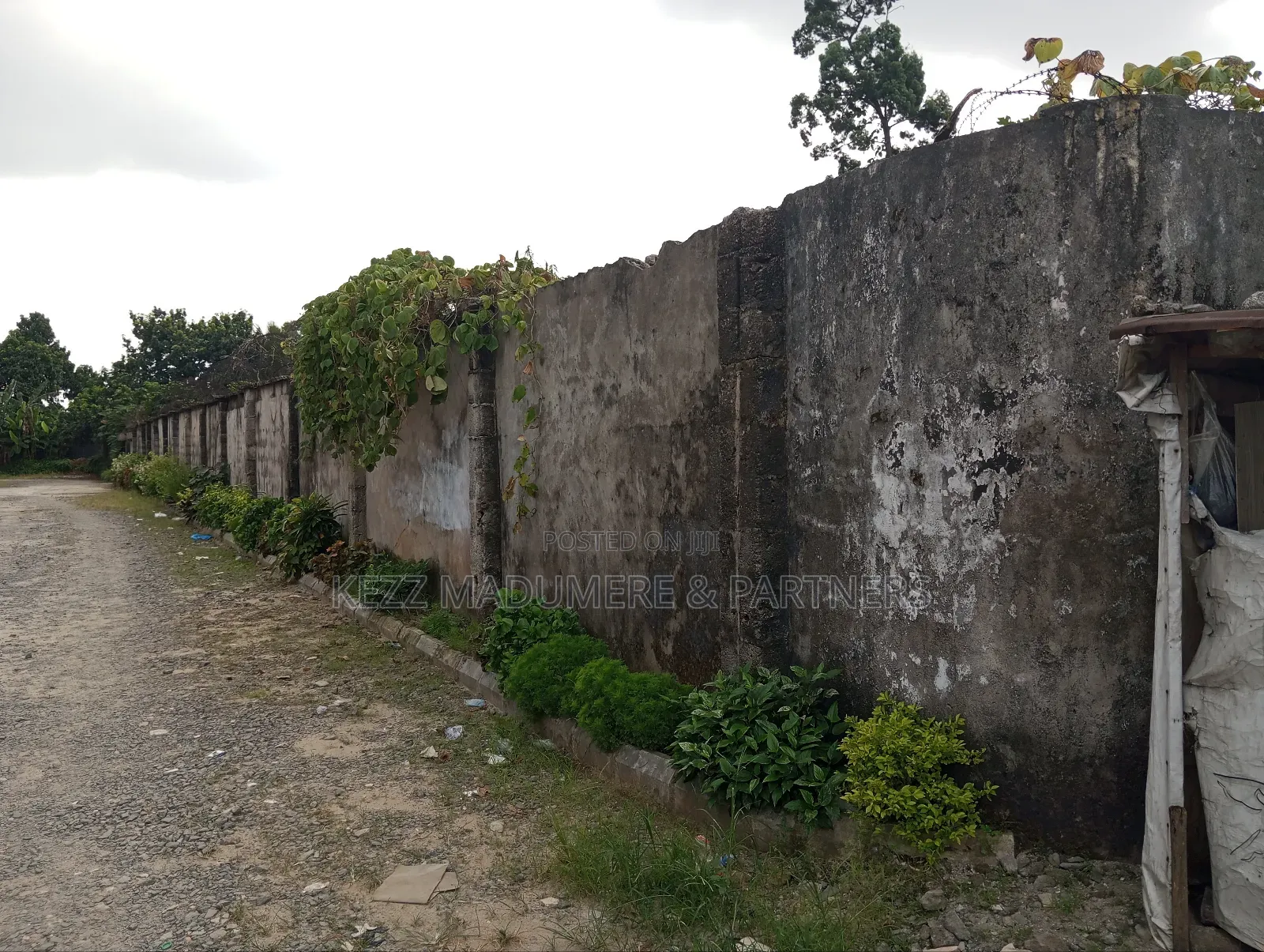 For Sale : 8 Plots at Ojiaji Ave, OFF Woji Rd , RUMUOGBA,PH