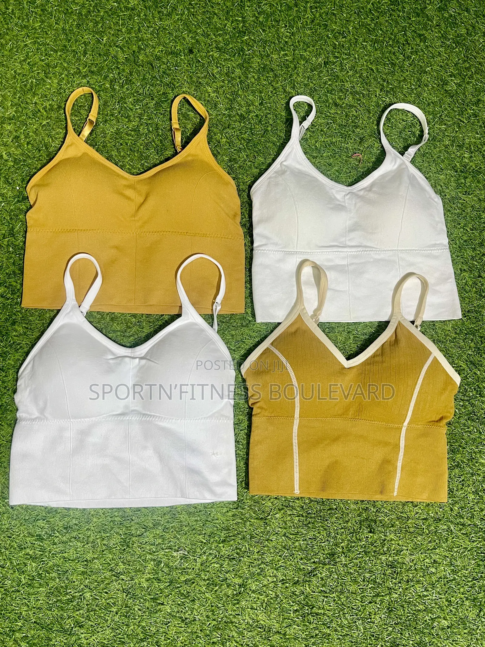 Padded Sports and Leisure Bra