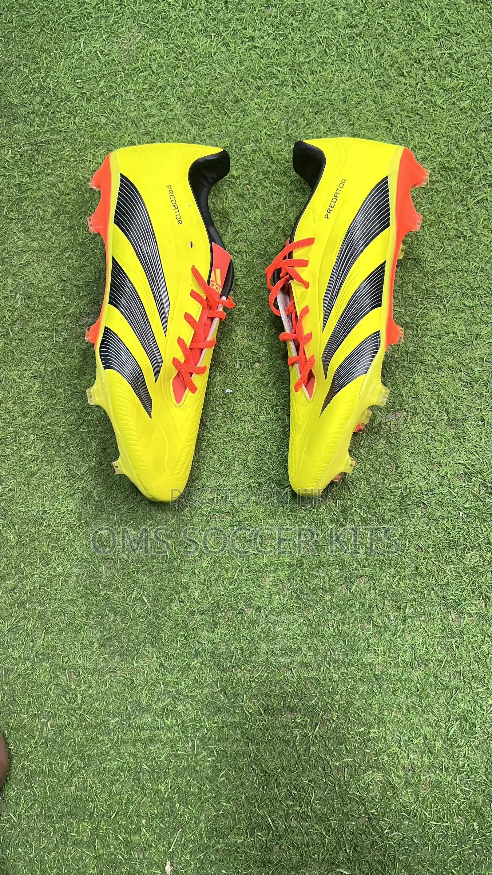 Adidas Predator (45)