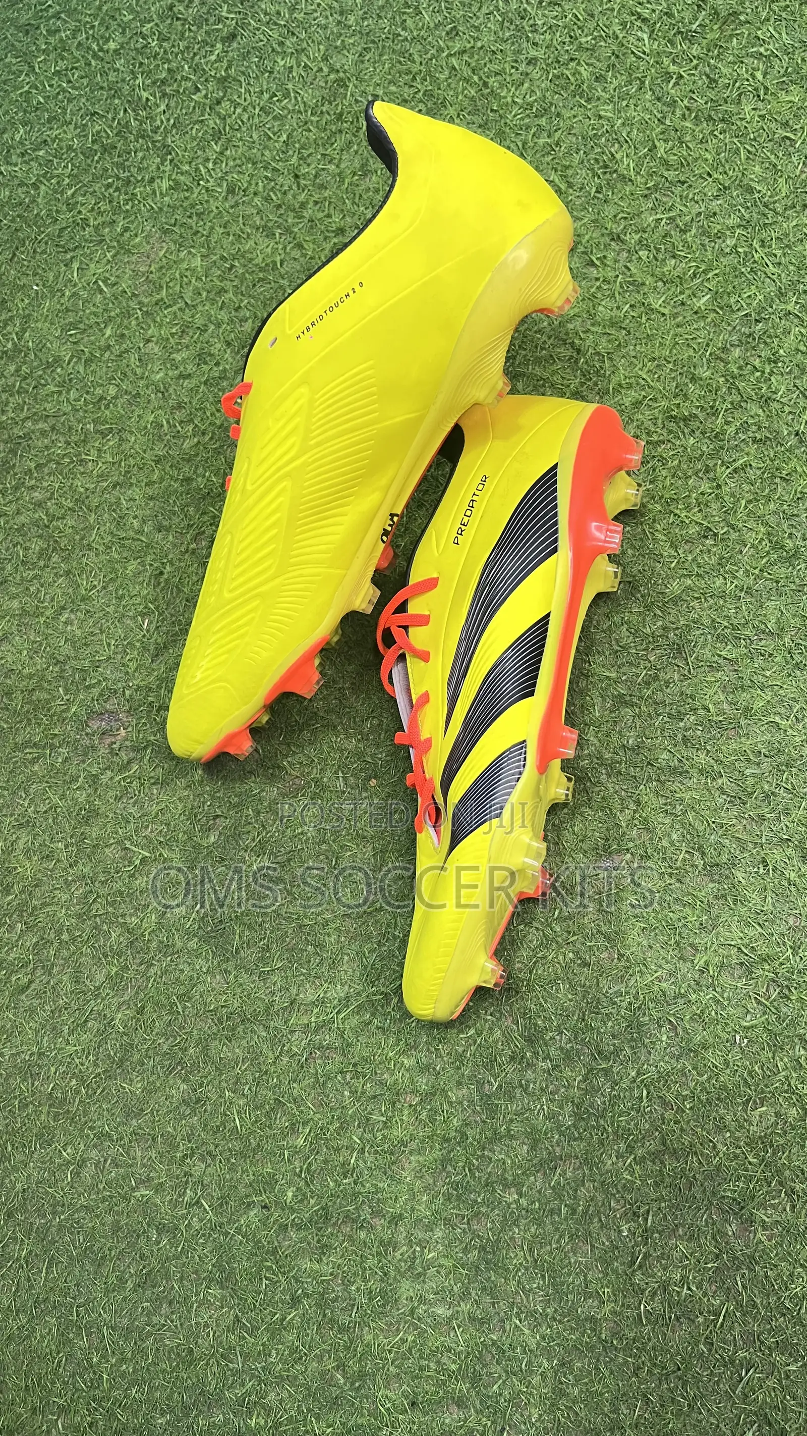Adidas Predator (45)