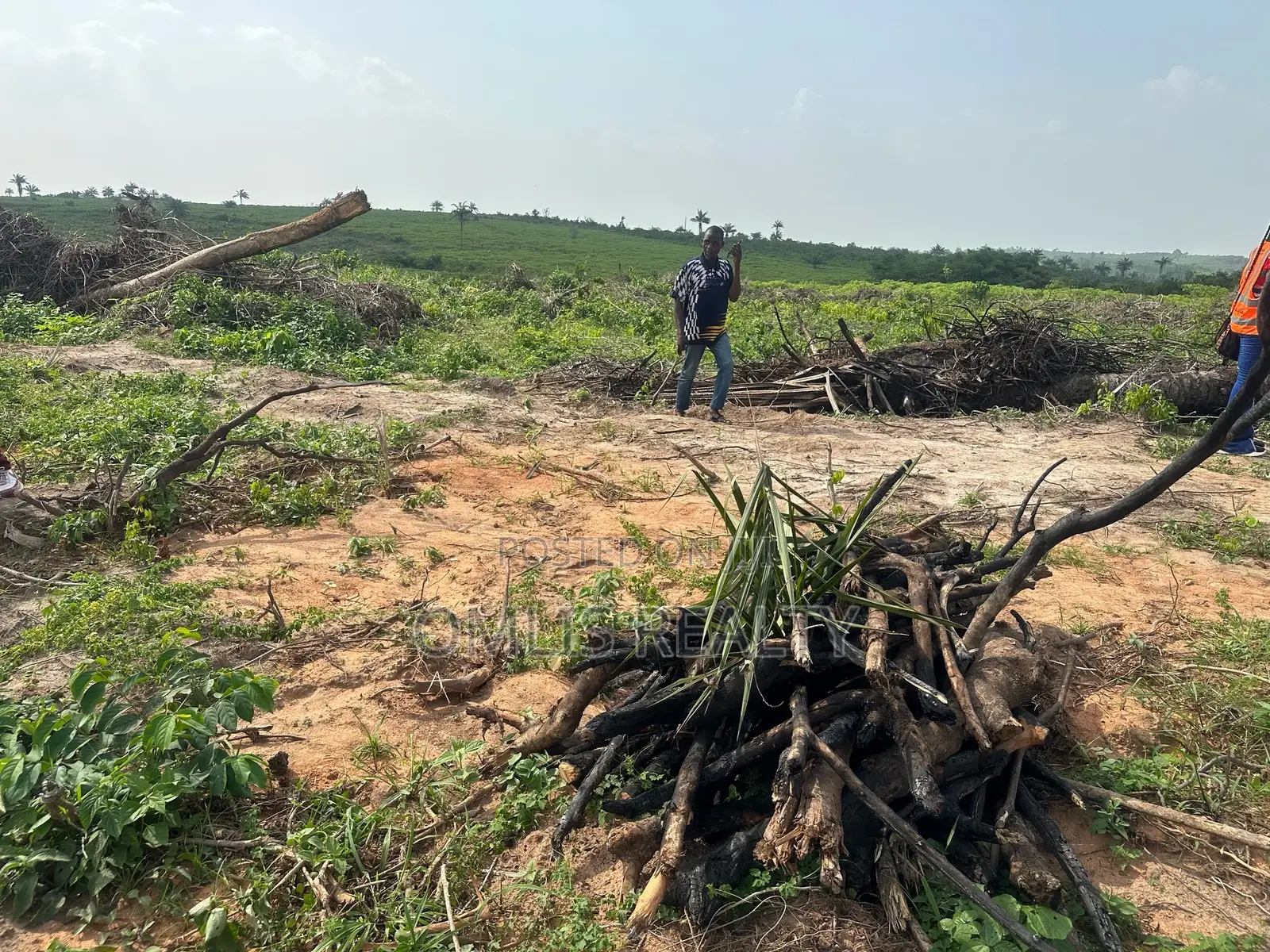 Lands For Sale At Wealth Land Gold Epe