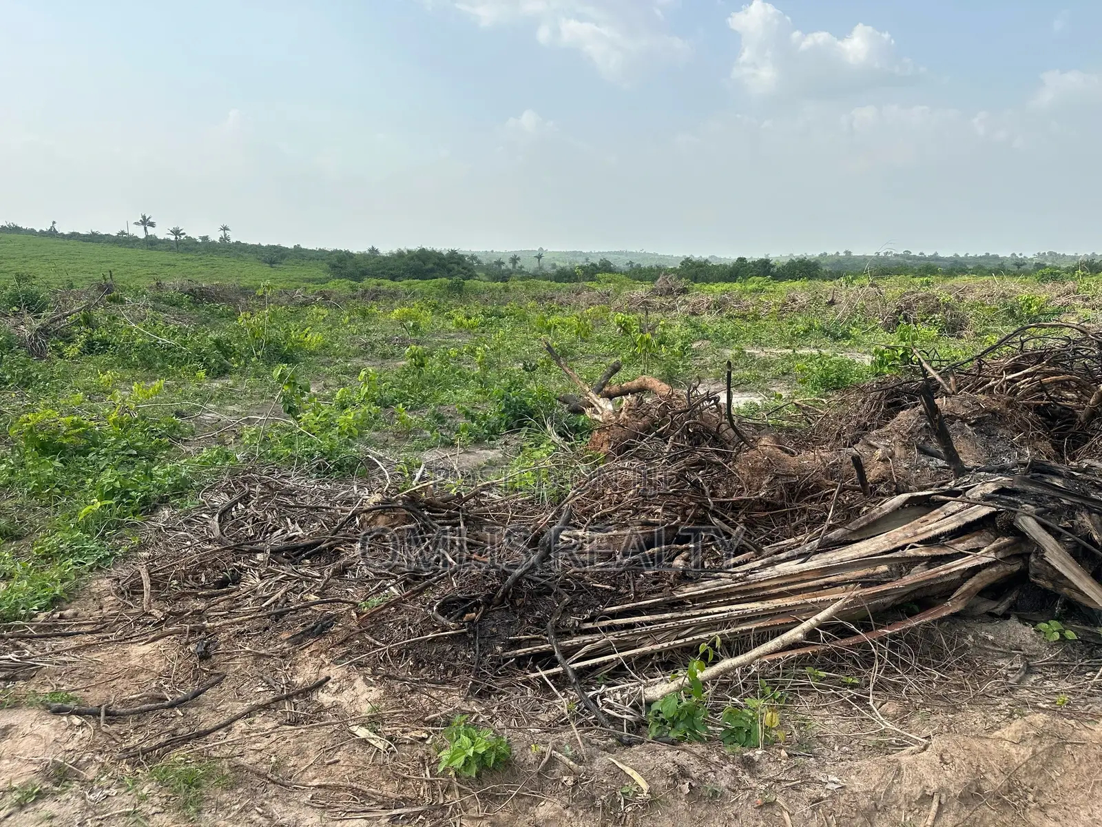 Lands For Sale At Wealth Land Gold Epe