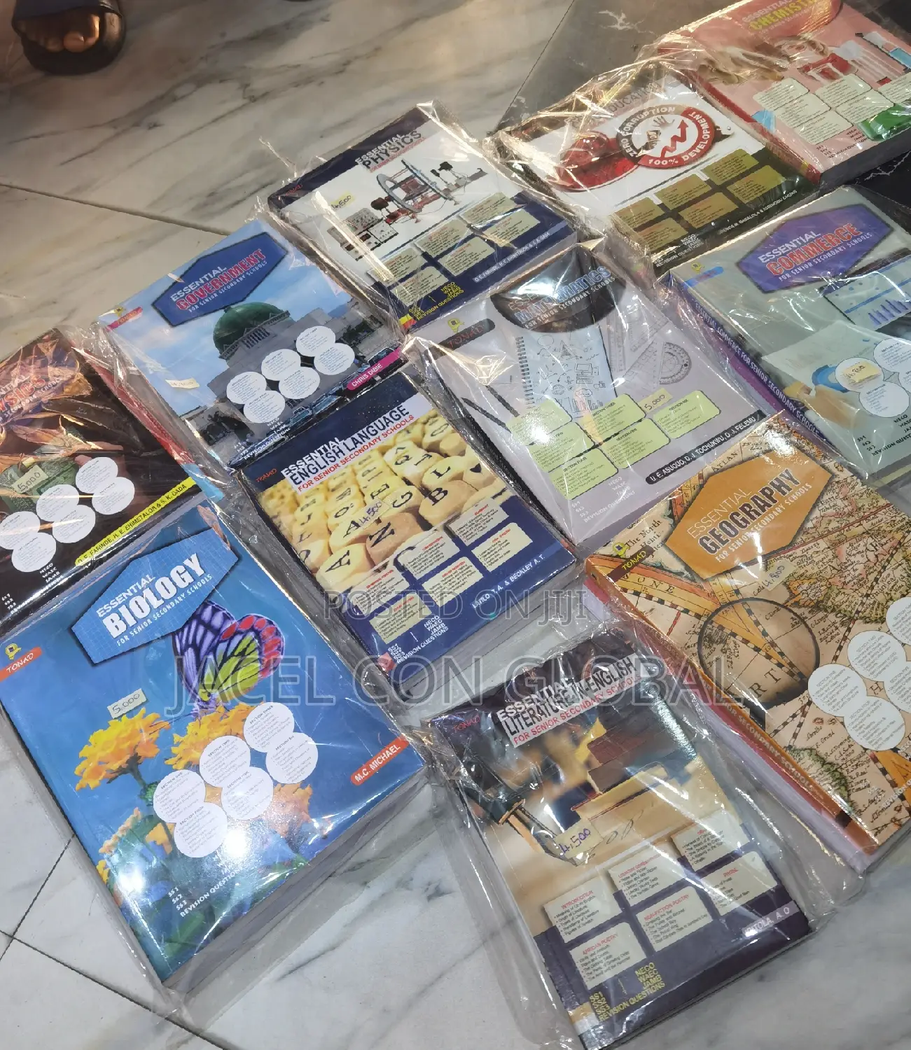 All Essential Subjects Textbooks for Senior Secondary Class