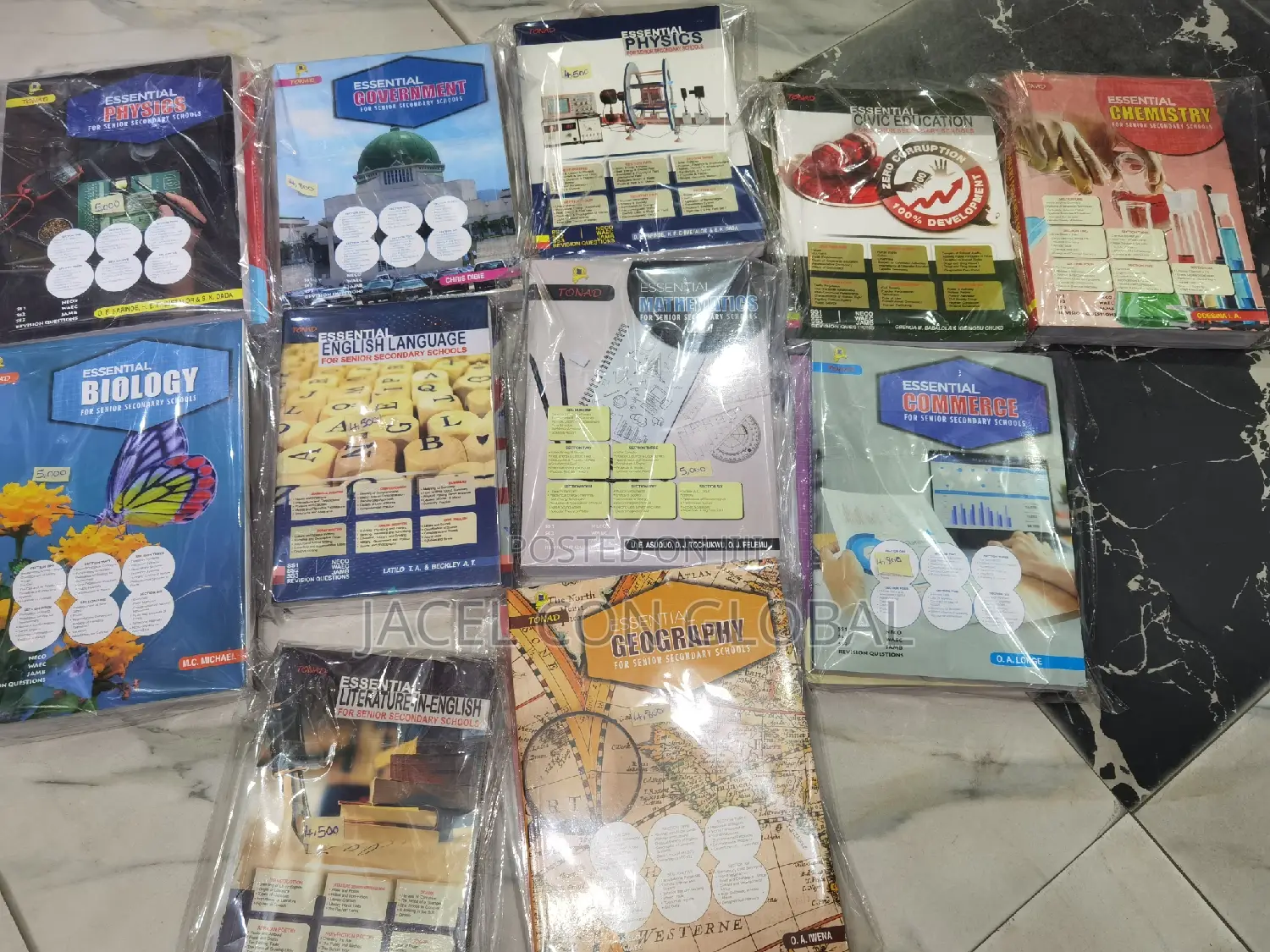 All Essential Subjects Textbooks for Senior Secondary Class