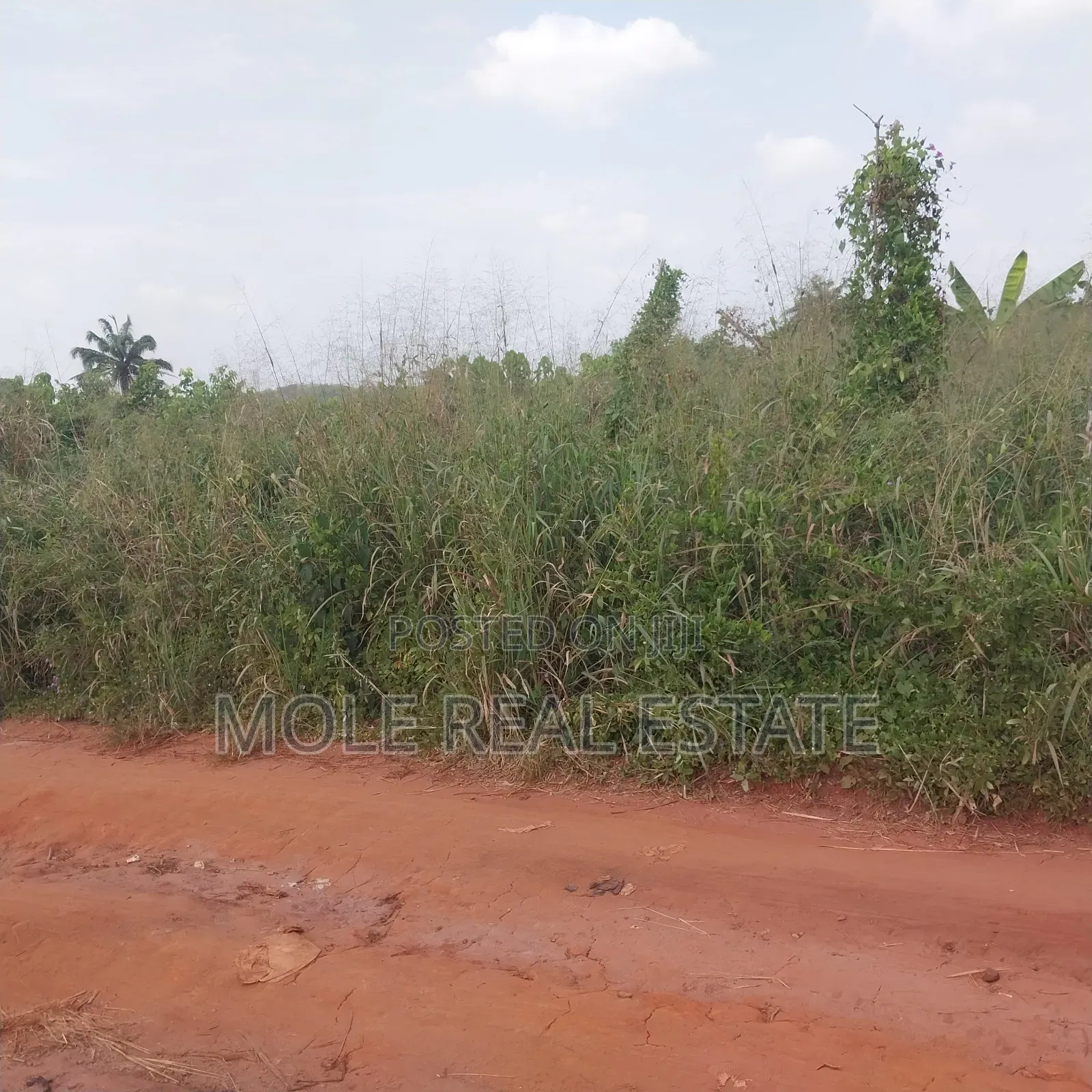 SIM Estate Mowe Ofada 50ft by 100ft