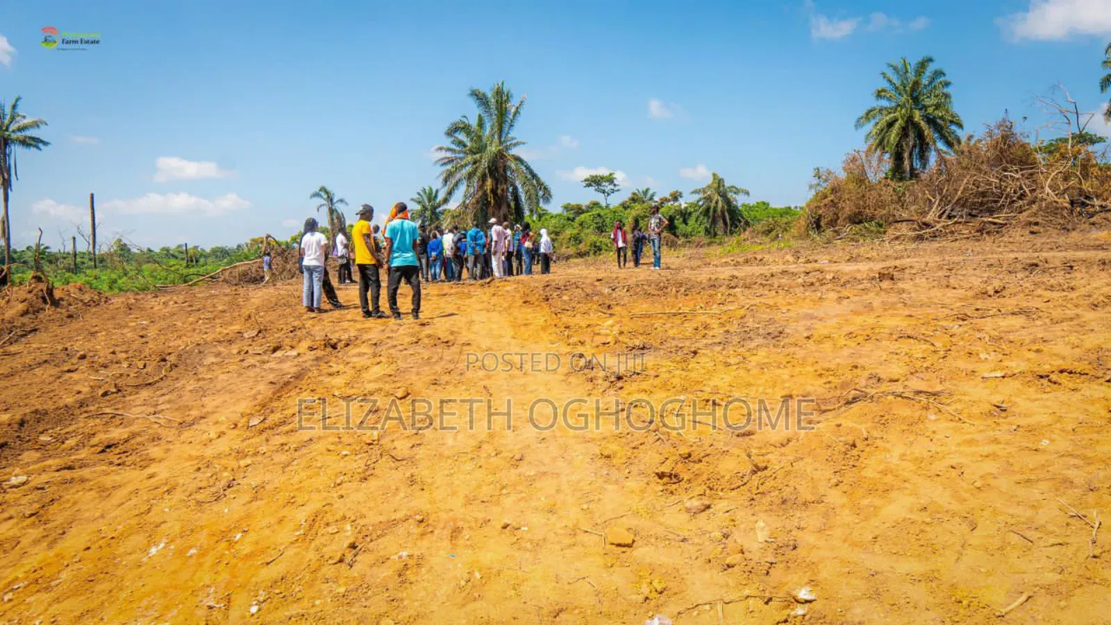 Farm Land Available for Sale at Ogun State
