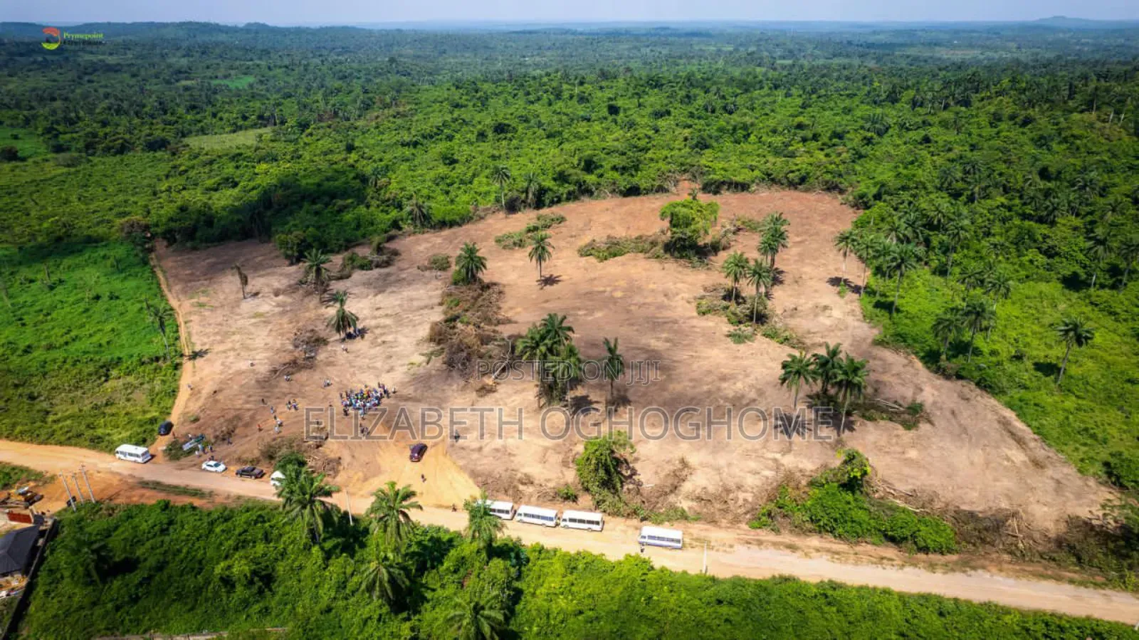 Farm Land Available for Sale at Ogun State