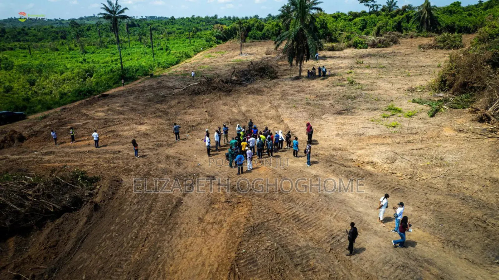 Farm Land Available for Sale at Ogun State