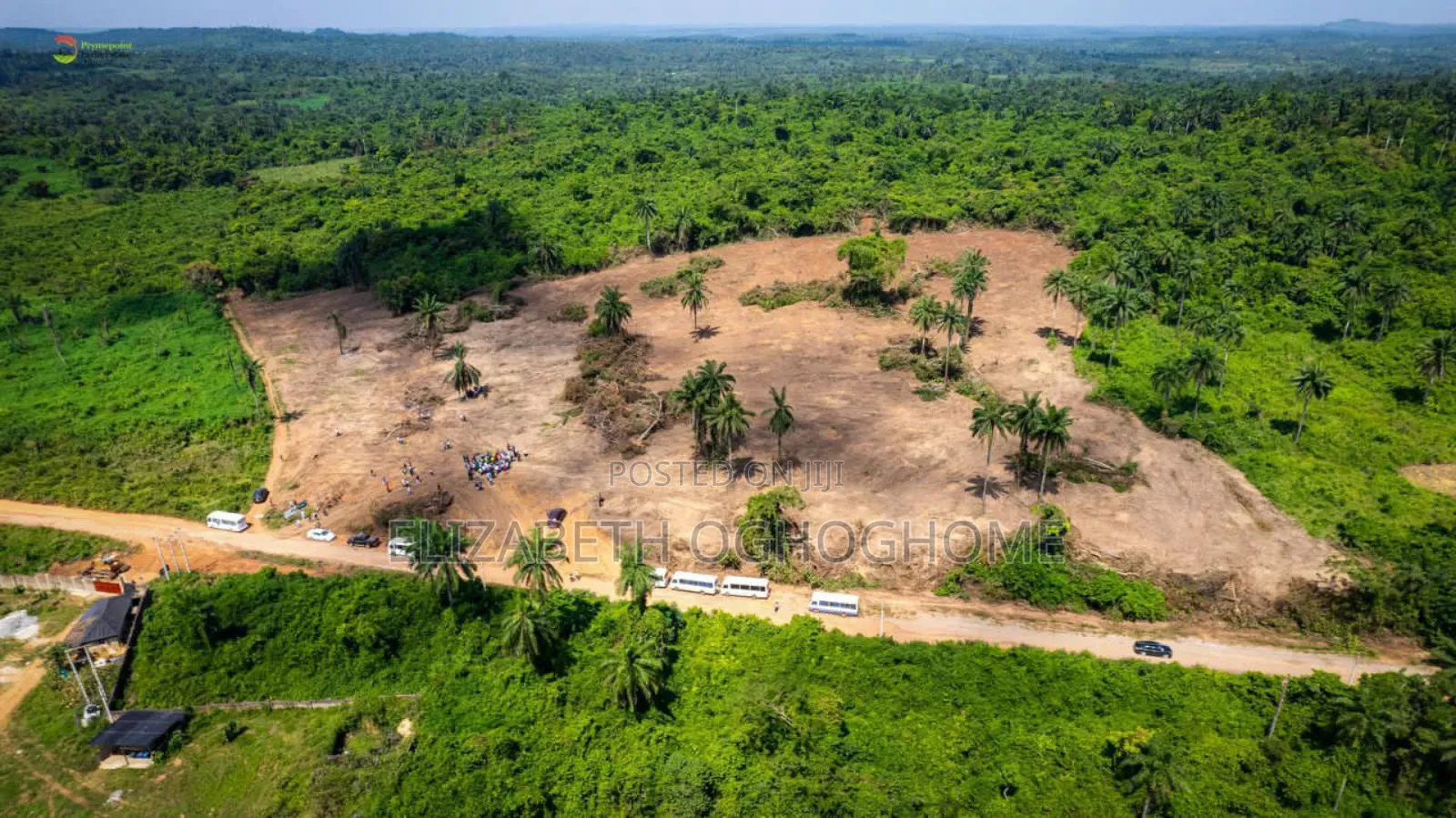 Farm Land Available for Sale at Ogun State