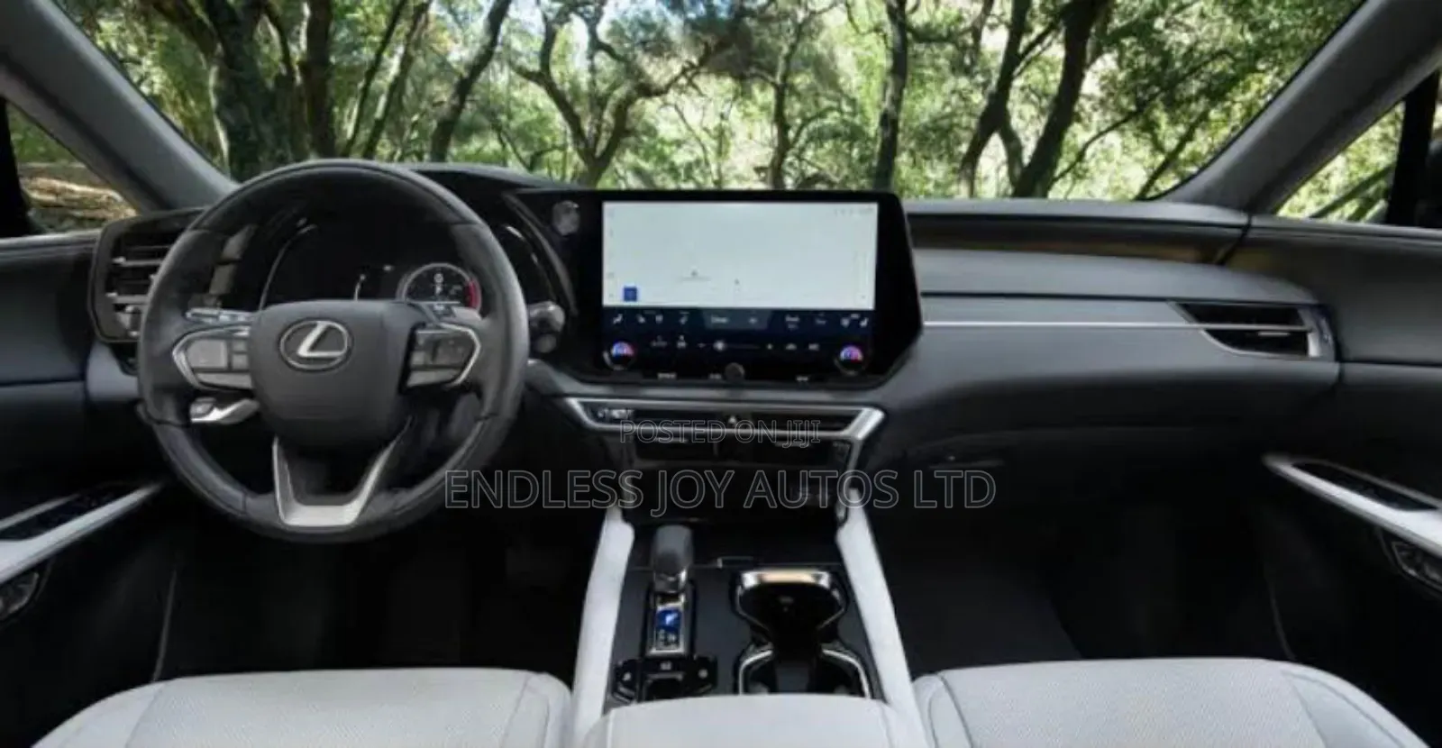 Lexus RX 350 Premium Plus 2024 Gray