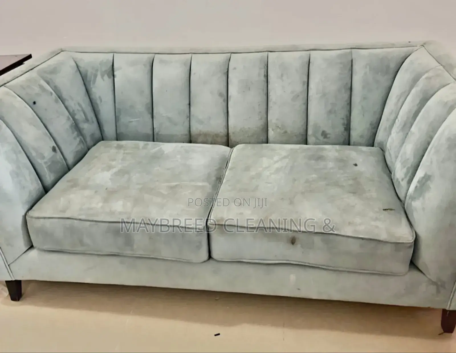 Couch, Upholstery Cleaning Service -