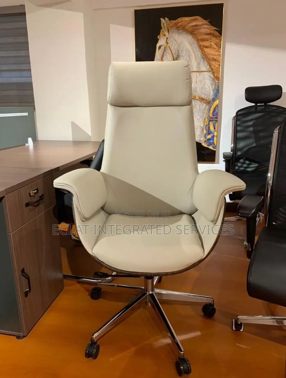 Executive Office Chair For Offices