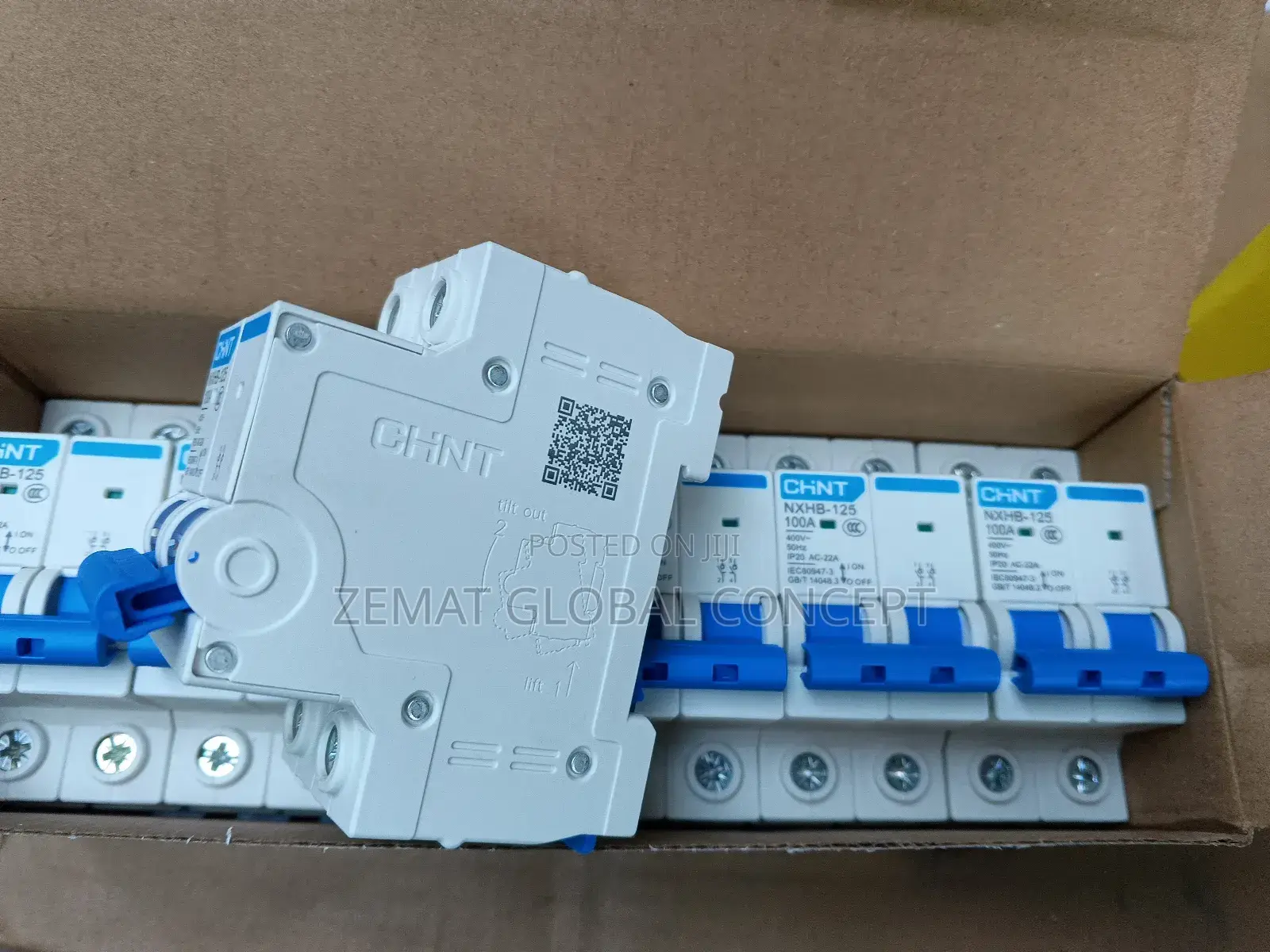 Chint 100A MCB 2pole