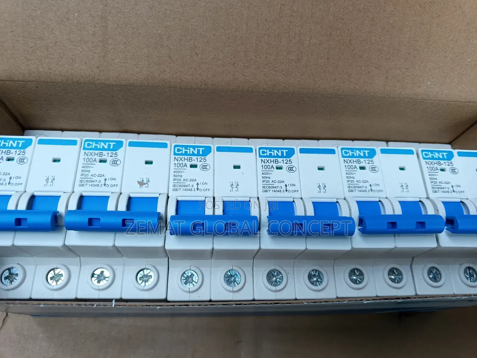 Chint 100A MCB 2pole