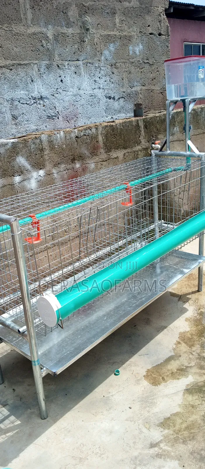Backyard Cage for Broiler