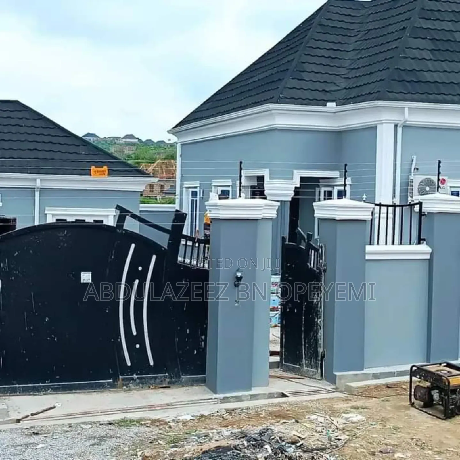 Professional Paint Production and House Painter