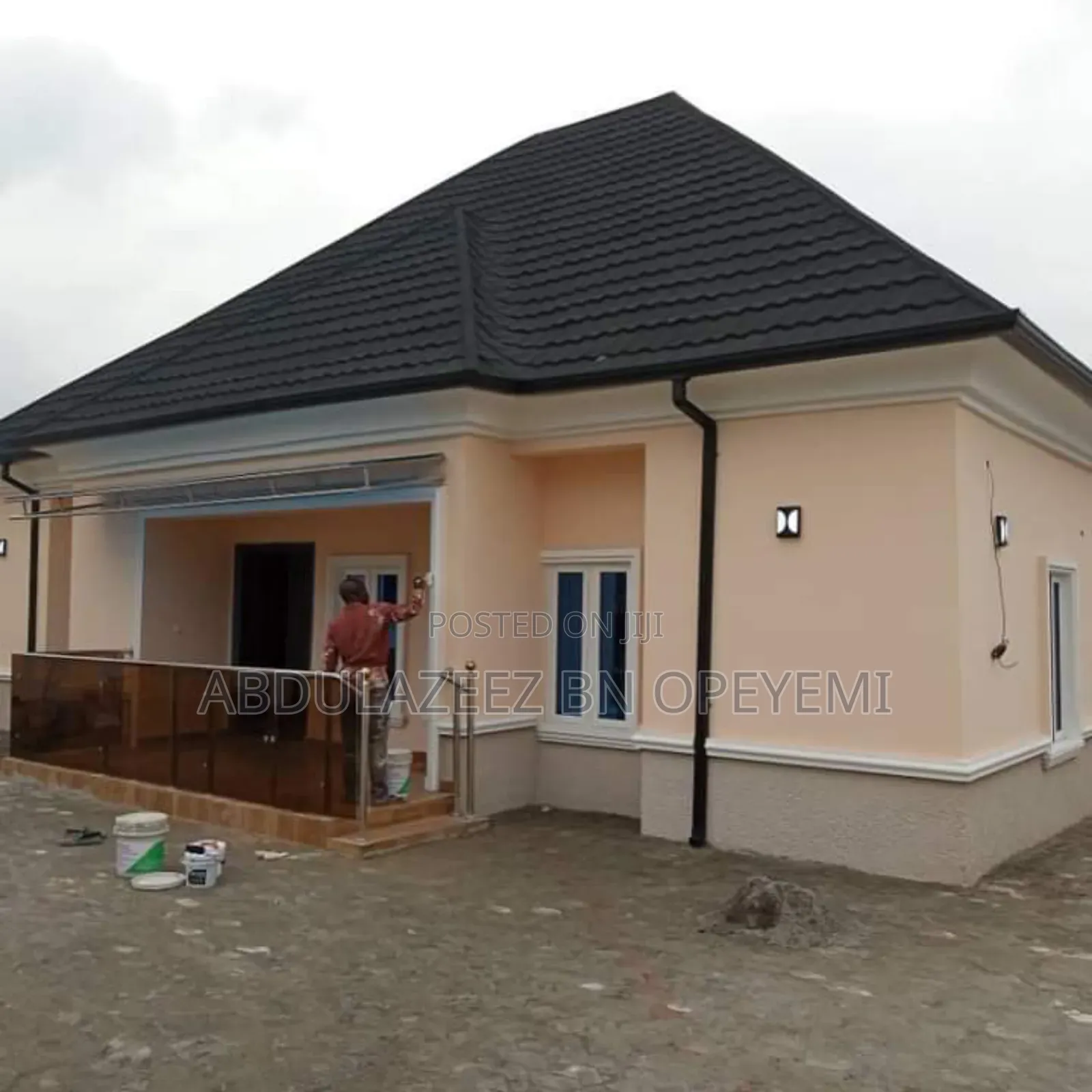 Professional Paint Production and House Painter