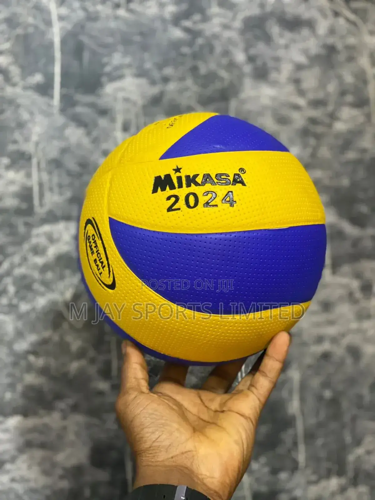 Mikasa Vollyball Ball