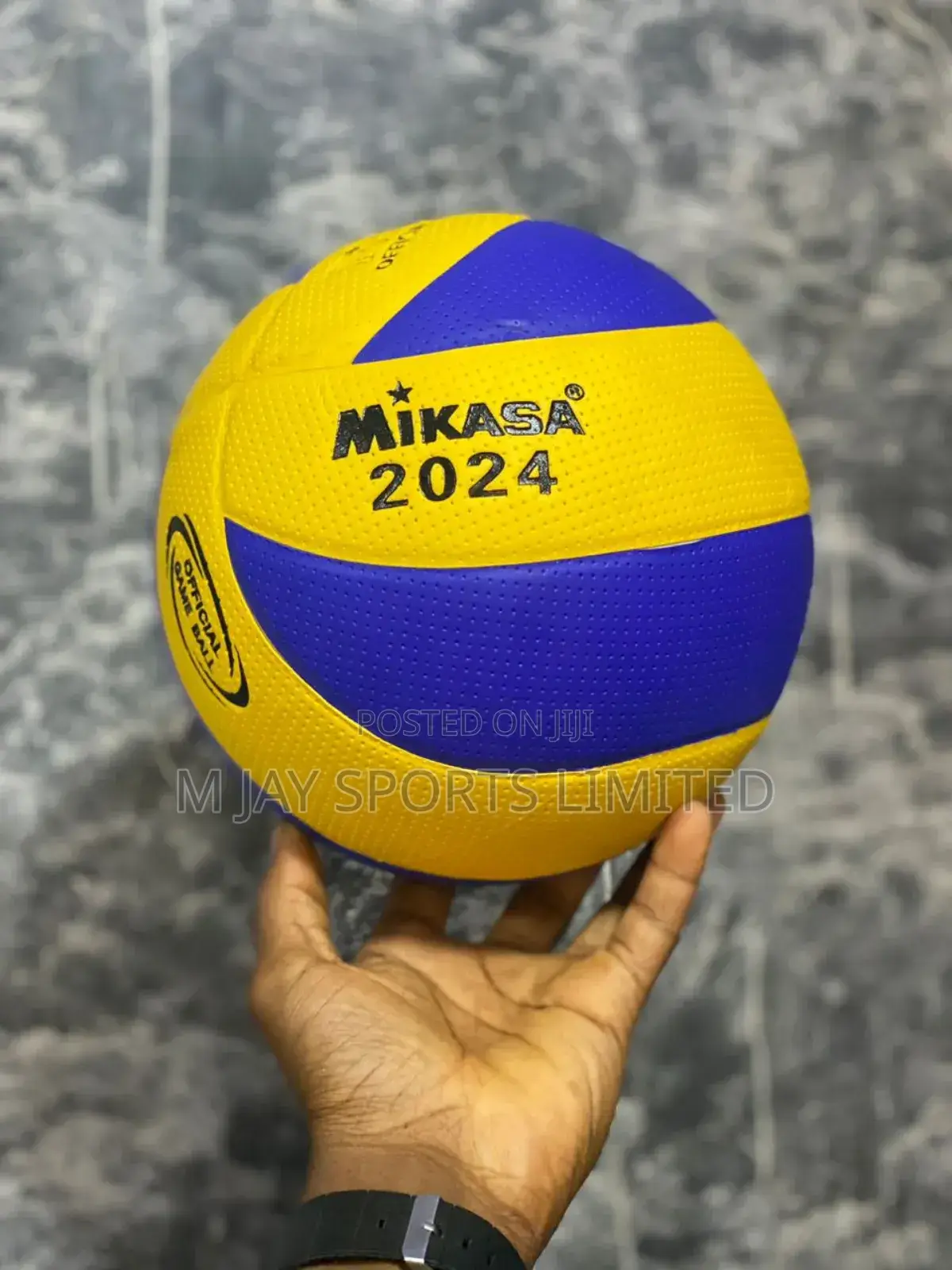 Mikasa Vollyball Ball