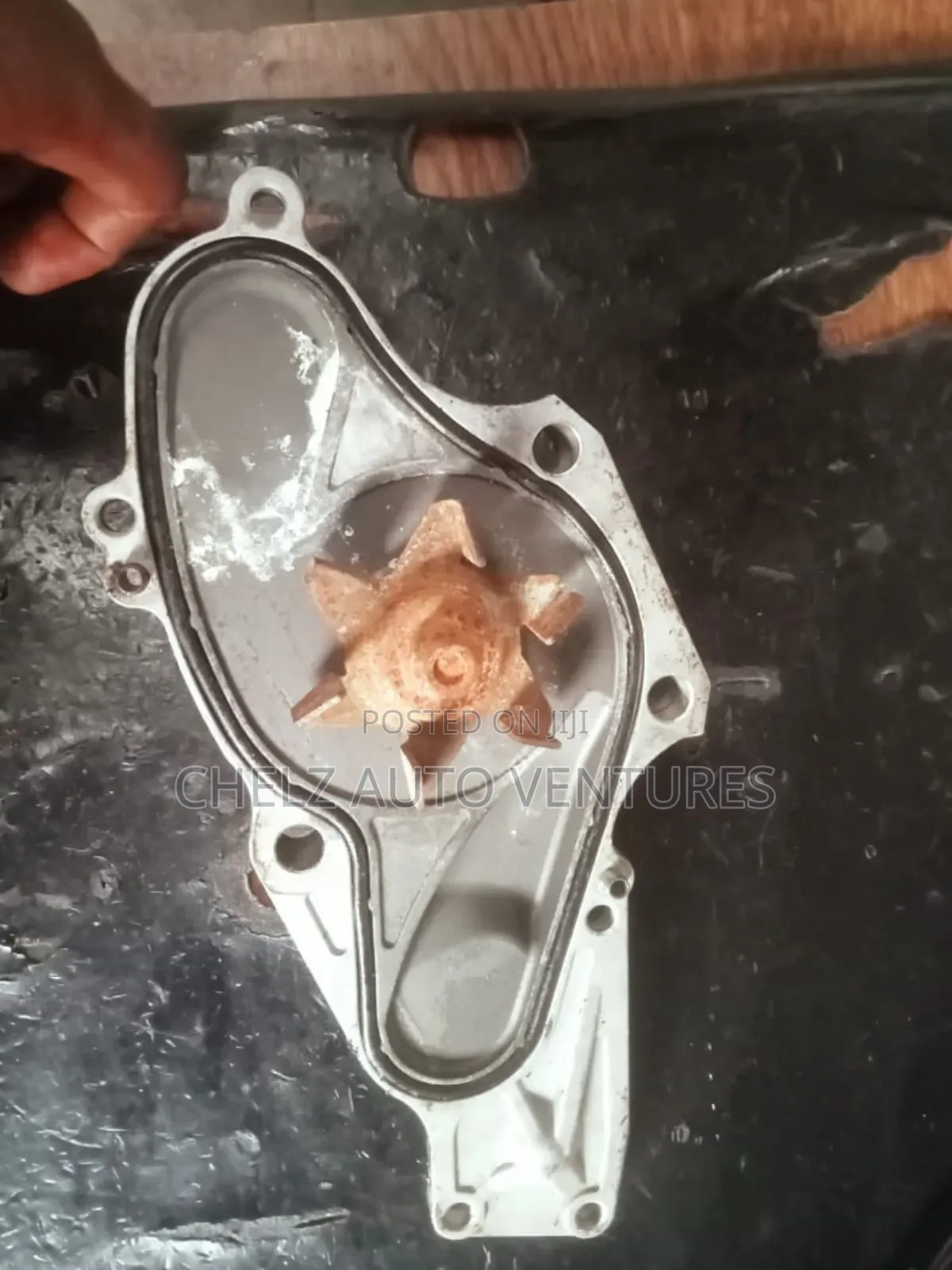 Water Pump Acura Tl 2009
