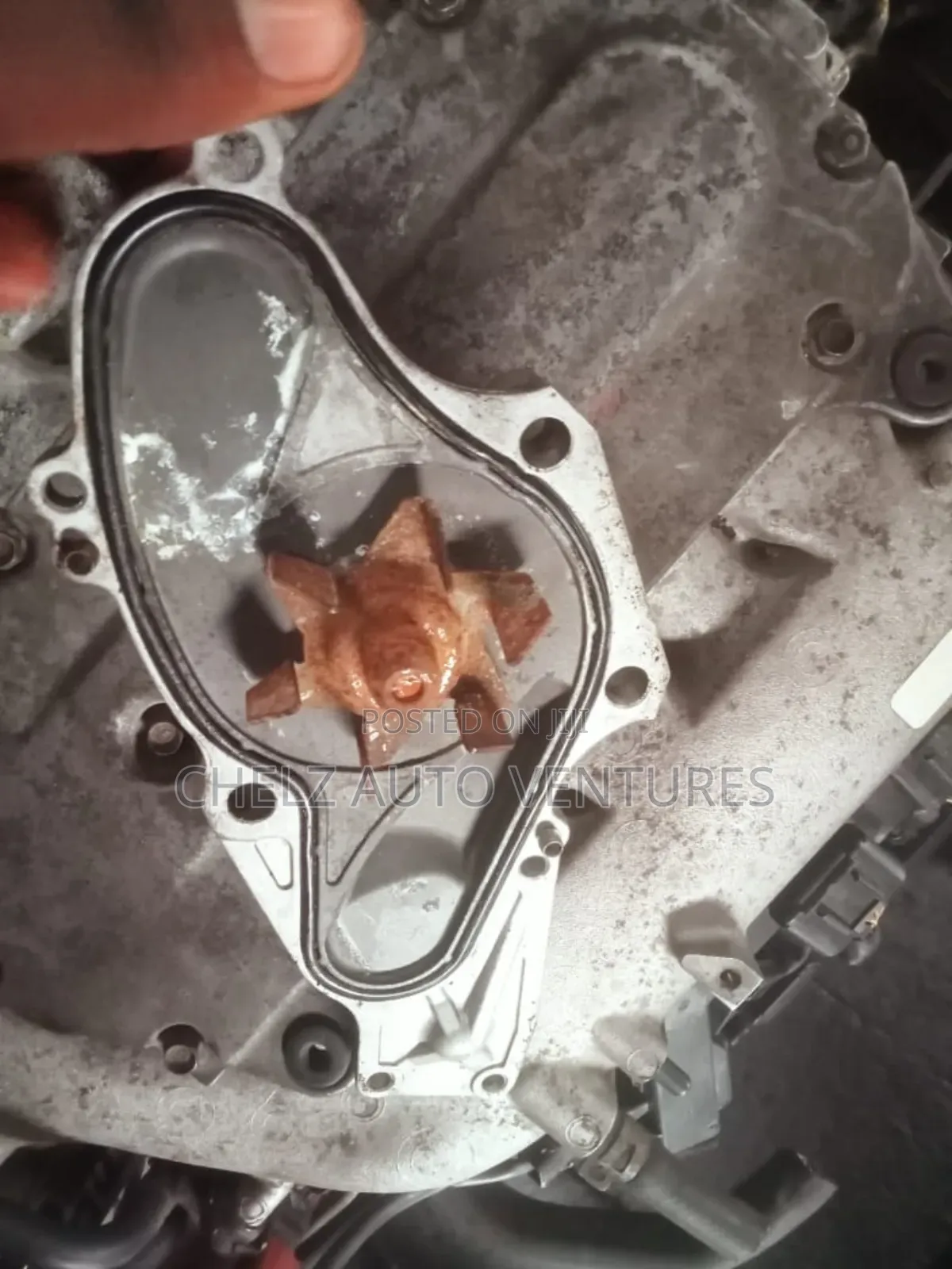 Water Pump Acura Tl 2009