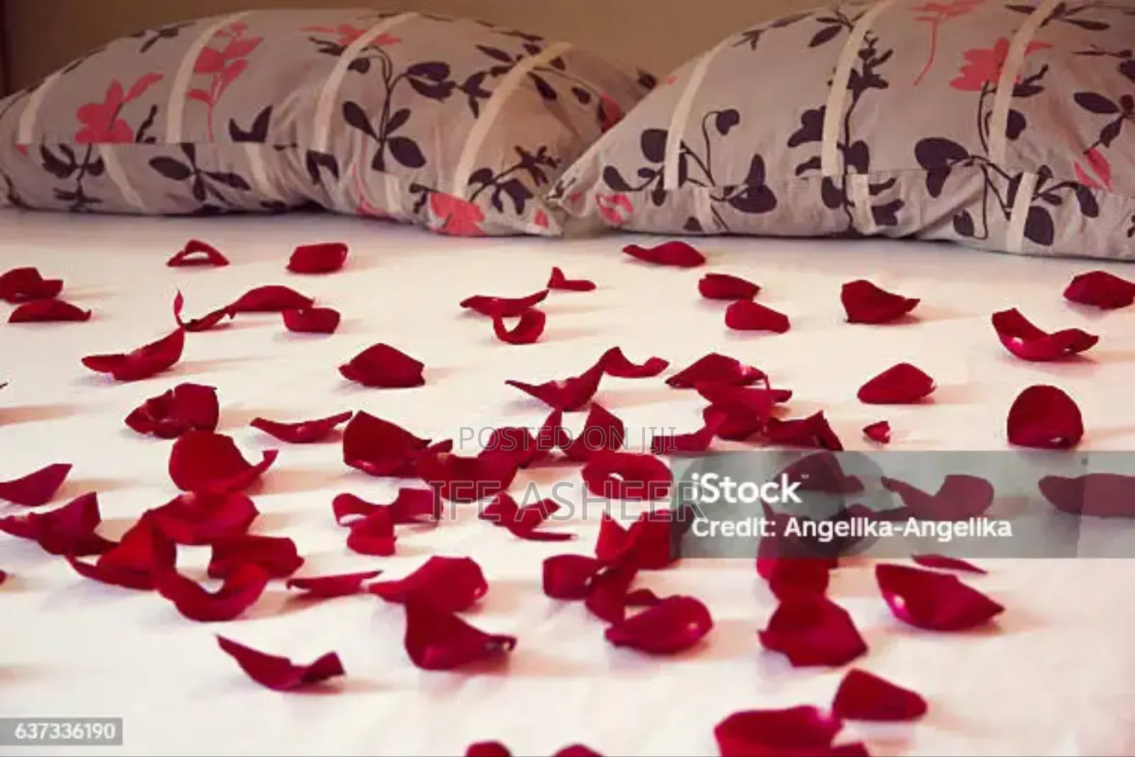 Red Petals With a Scented Rose Flower - Red