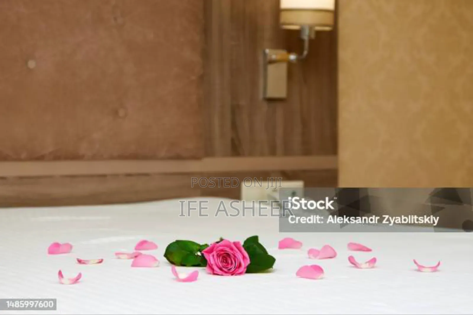 Pink Petals With a Scented Rose Flower - Pink