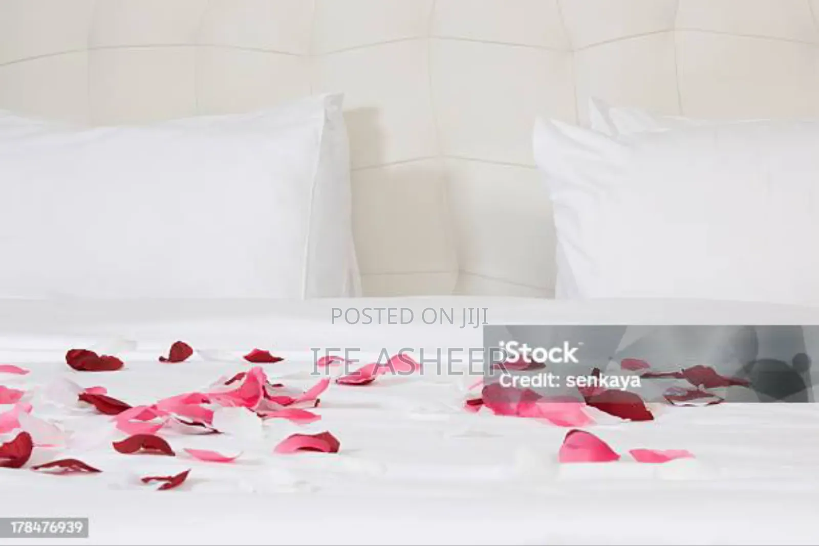 Pink Petals With a Scented Rose Flower - Pink