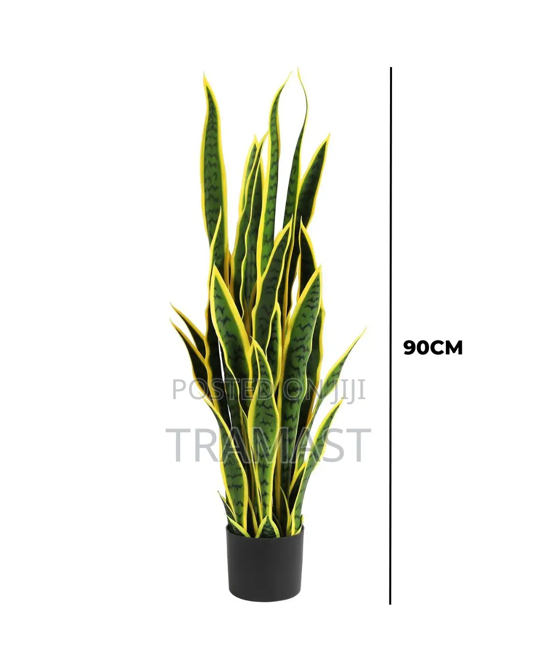 Fake Snake Plants | Wholesale Of Quality Plant In Nigeria
