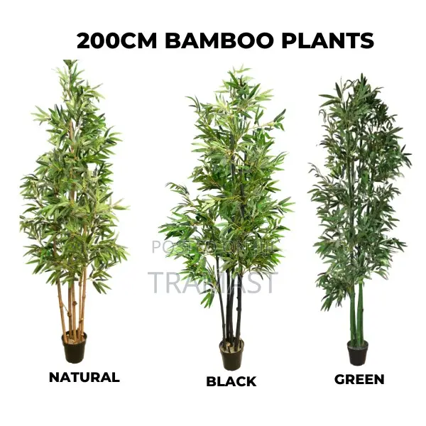 Artificial Bamboo Trees | Upgrade Your Home | Buy Now