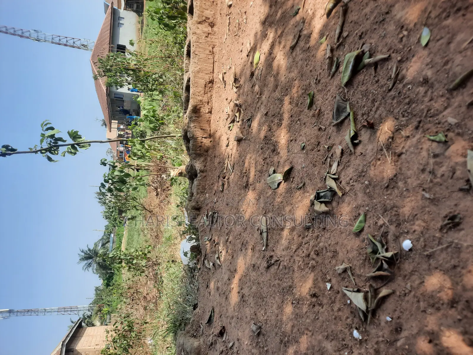 6 Plots of Commercial Bareland