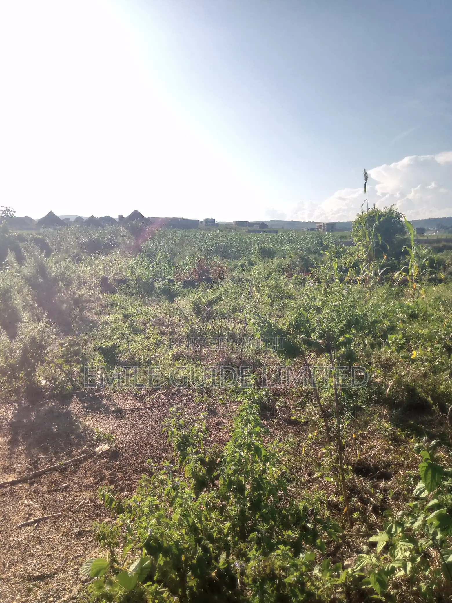 500 SQM and Above Residential Land a Beautiful Environment