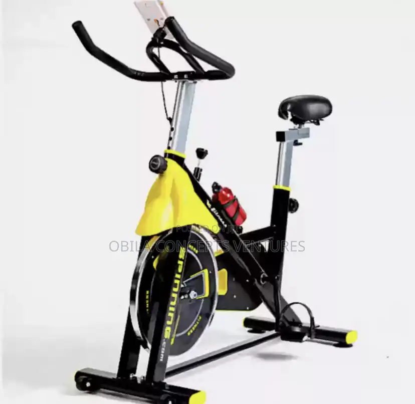 Cycle Flex Exercise Bike