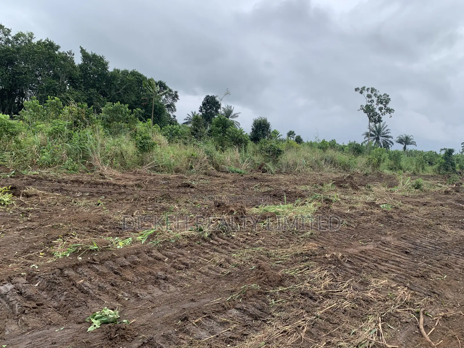 Land in Ngor Okpala , Imo State