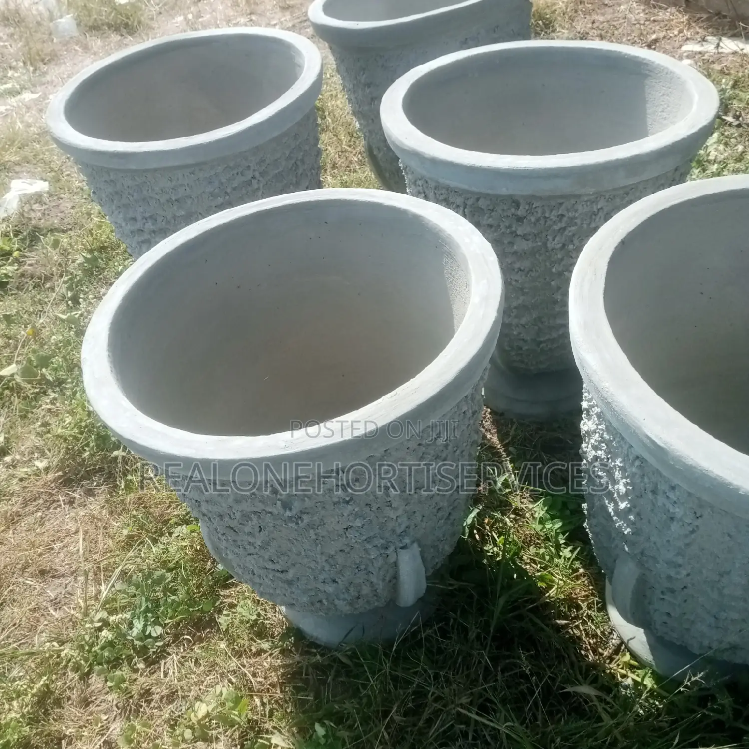 Meet Our Stylish Concrete Pot for Garden, Green Home Decor