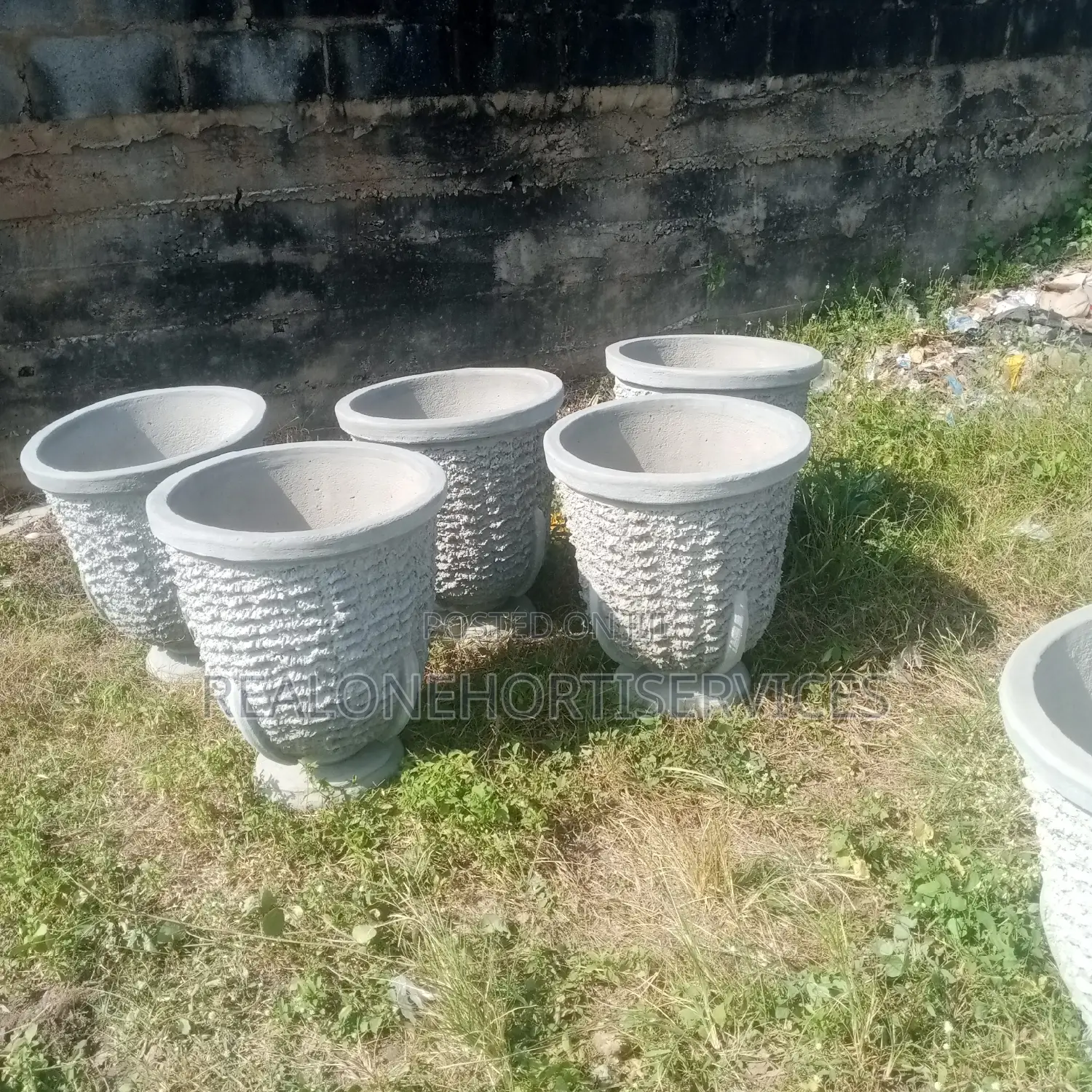 Meet Our Stylish Concrete Pot for Garden, Green Home Decor