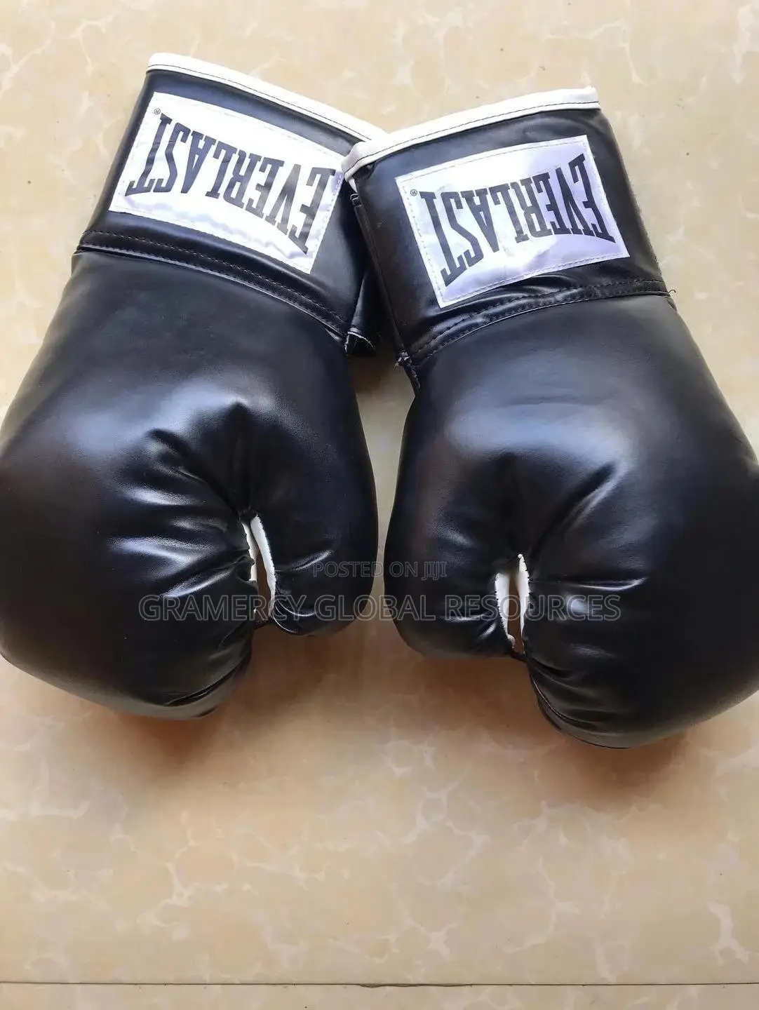 Everlast Boxing Gloves