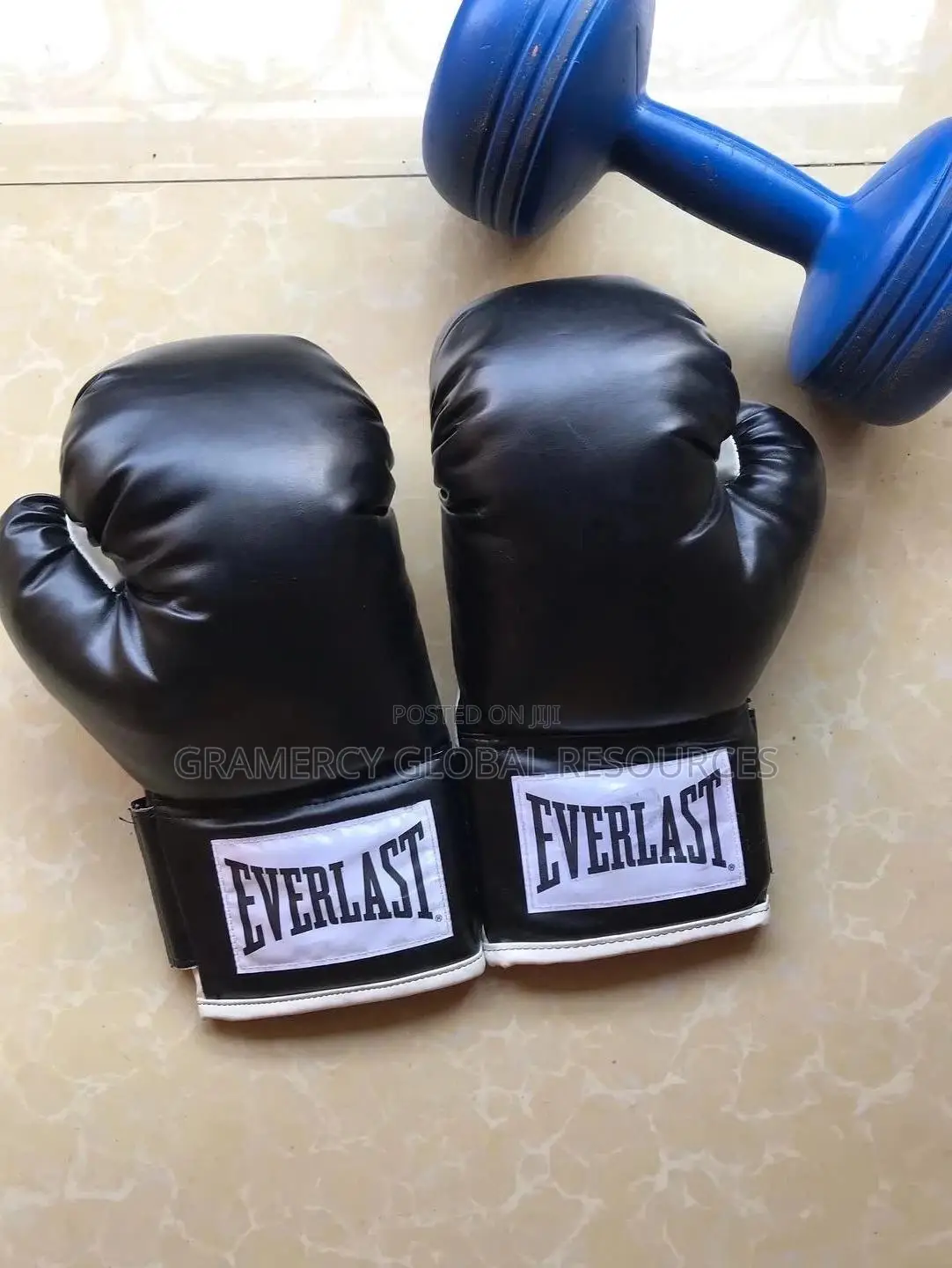 Everlast Boxing Gloves