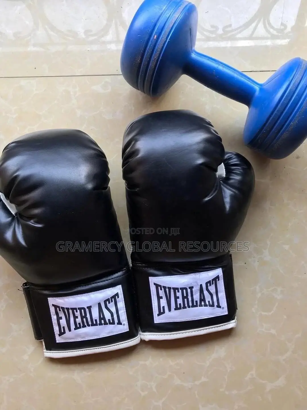 Everlast Boxing Gloves