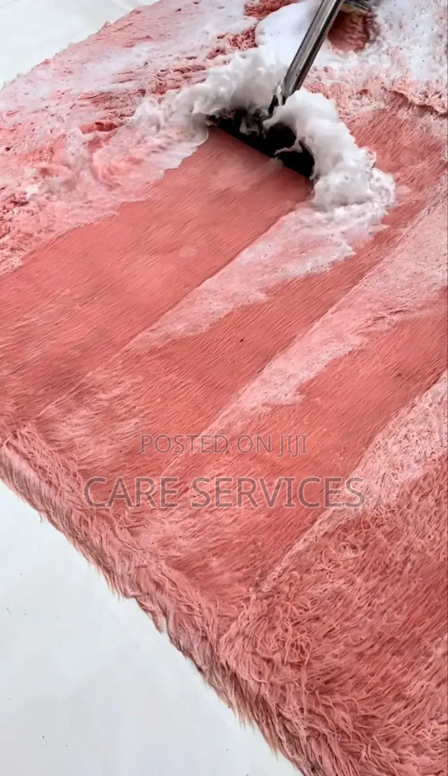 Professional Carpet/Rug Cleaning